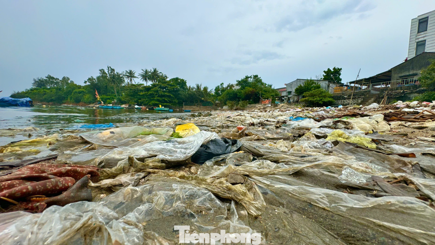 Ngày qua ngày, rác cứ tấp vào bờ biển, lớp trước bị vùi lấp thì lớp sau lại phủ lên. Hàng trăm hộ dân nơi đây buộc phải sống chung với rác. Ảnh: Nguyễn Ngọc