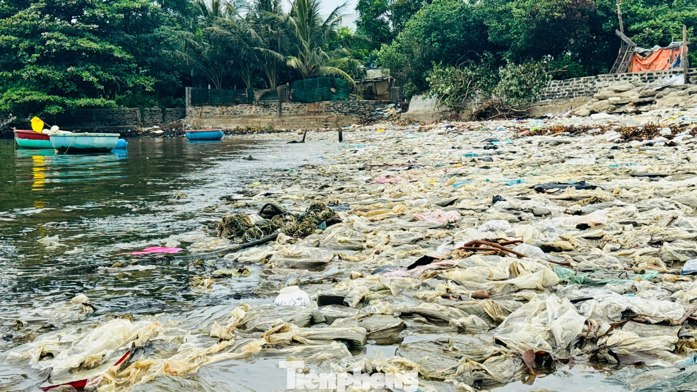 Theo ghi nhận của PV vào sáng 10/6, đoạn bờ biển kéo dài khoảng 300m la liệt rác thải các loại, từ chai nhựa, túi nilon đến bèo, vật dụng sinh hoạt hư hỏng... phủ kín trên bãi cát, bốc mùi hôi thối khó chịu. Ảnh: Nguyễn Ngọc