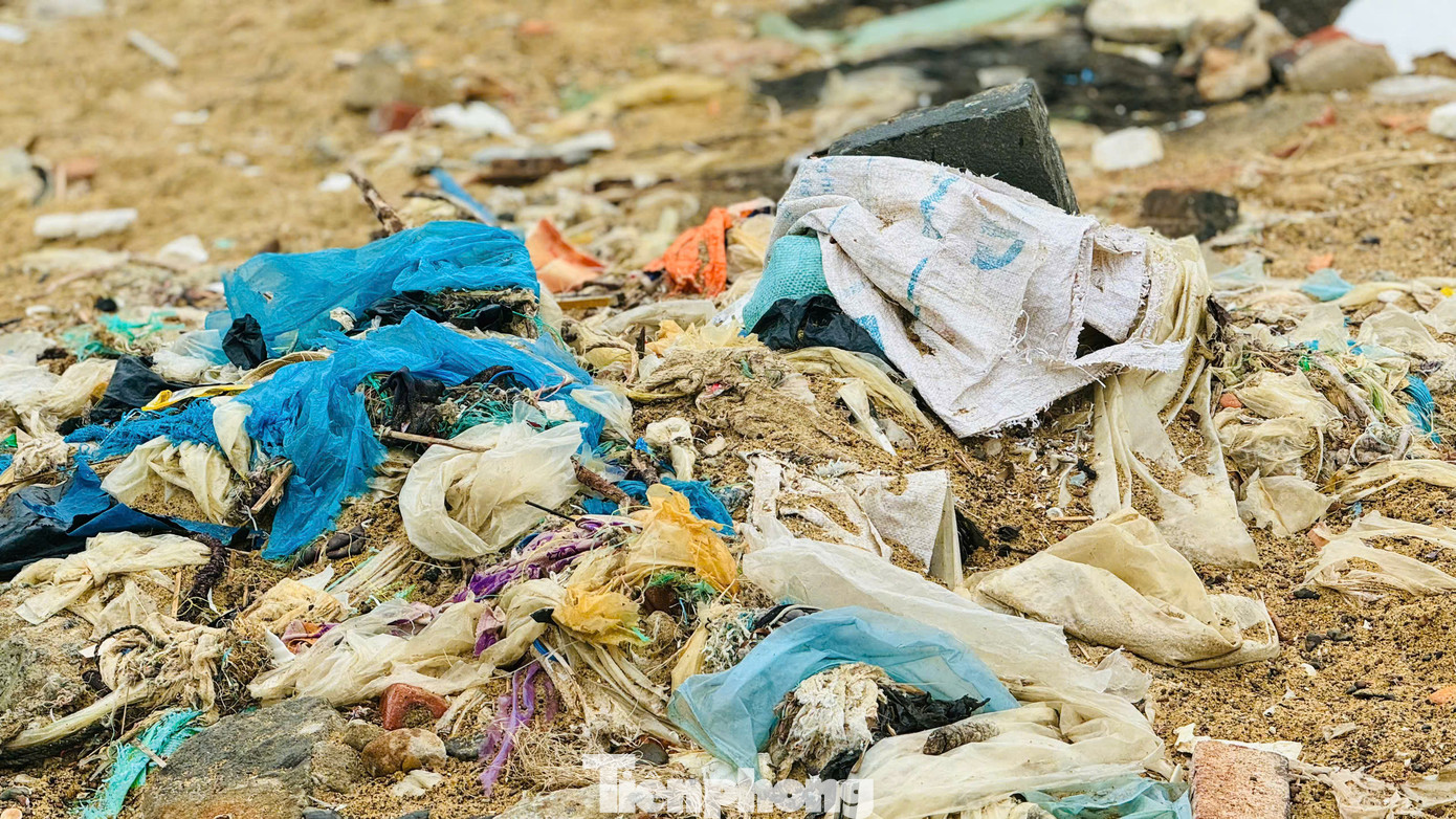 Rác ở đây chủ yếu là túi nilon, vỏ chai nhựa, củi khô, bèo tây, xác động vật…dồn thành từng đống. Gây ô nhiễm môi trường nghiêm trọng, mất mỹ quan, ảnh hưởng đến sinh hoạt, môi trường sống của người dân. Ảnh: Nguyễn Ngọc