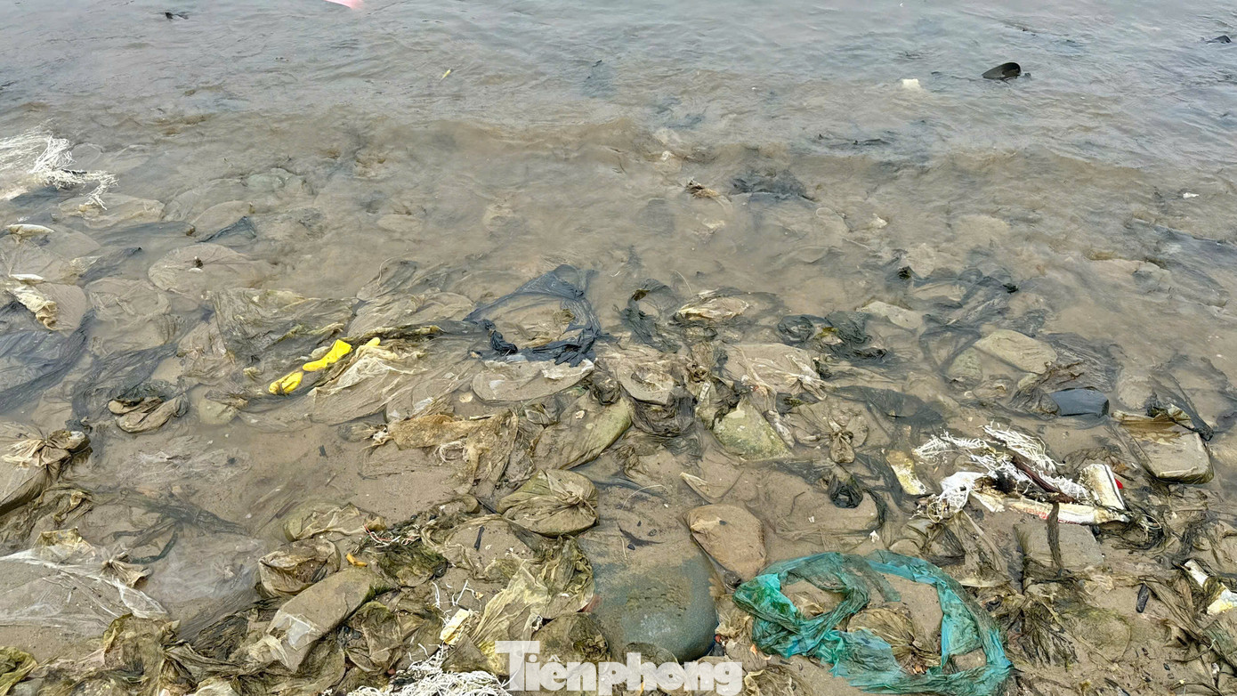 Ngày qua ngày, rác cứ tấp vào bờ biển, lớp trước bị vùi lấp thì lớp sau lại phủ lên. Hàng trăm hộ dân nơi đây buộc phải sống chung với rác. Ảnh: Nguyễn Ngọc