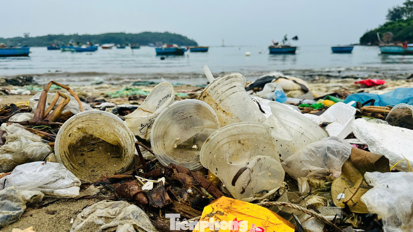 Rác ở đây chủ yếu là túi nilon, vỏ chai nhựa, củi khô, bèo tây, xác động vật…dồn thành từng đống. Gây ô nhiễm môi trường nghiêm trọng, mất mỹ quan, ảnh hưởng đến sinh hoạt, môi trường sống của người dân. Ảnh: Nguyễn Ngọc