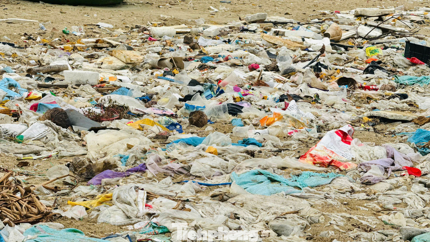 Theo ghi nhận của PV vào sáng 10/6, đoạn bờ biển kéo dài khoảng 300m la liệt rác thải các loại, từ chai nhựa, túi nilon đến bèo, vật dụng sinh hoạt hư hỏng... phủ kín trên bãi cát, bốc mùi hôi thối khó chịu. Ảnh: Nguyễn Ngọc