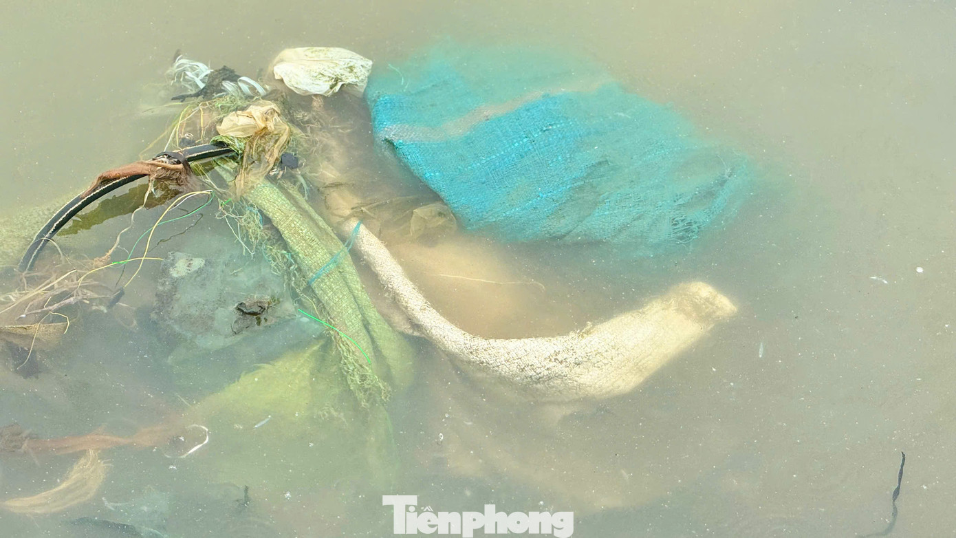 Ngày qua ngày, rác cứ tấp vào bờ biển, lớp trước bị vùi lấp thì lớp sau lại phủ lên. Hàng trăm hộ dân nơi đây buộc phải sống chung với rác. Ảnh: Nguyễn Ngọc