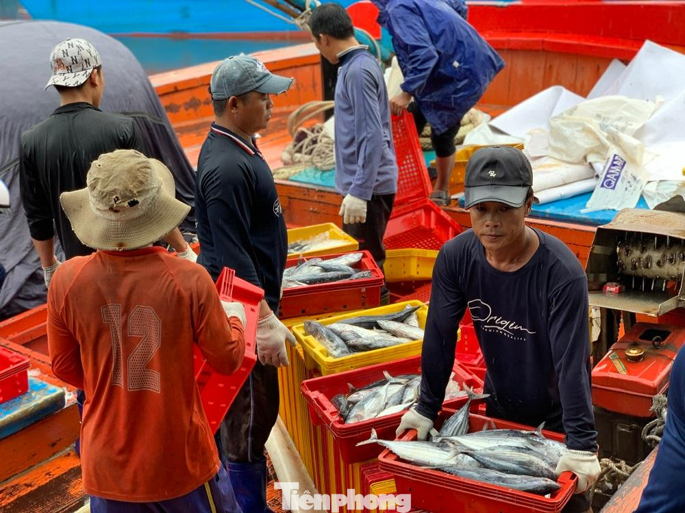 Mặc dù chưa đủ tổn, tuy nhiên để đảm bảo an toàn cho thuyền viên và tàu cá, hàng nghìn tàu cá vẫn cập cảng bán hải sản và tránh bão. Mặc dù chưa đủ tổn, tuy nhiên để đảm bảo an toàn cho thuyền viên và tàu cá, hàng nghìn tàu cá vẫn cập cảng bán hải sản và tránh bão.
