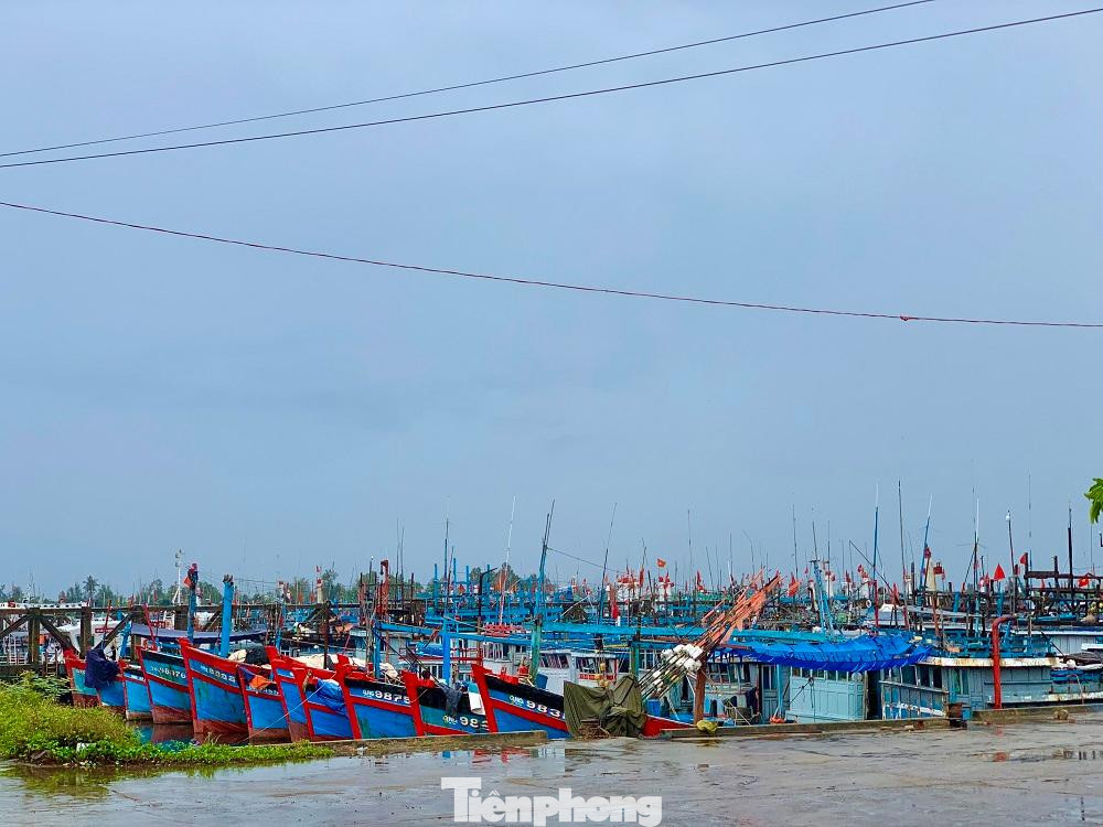 Tàu thuyền ngư dân Quảng Ngãi vào neo đậu tại cảng cá Tịnh Hòa (xã Tịnh Hòa, TP Quảng Ngãi). Tàu thuyền ngư dân Quảng Ngãi vào neo đậu tại cảng cá Tịnh Hòa (xã Tịnh Hòa, TP Quảng Ngãi).