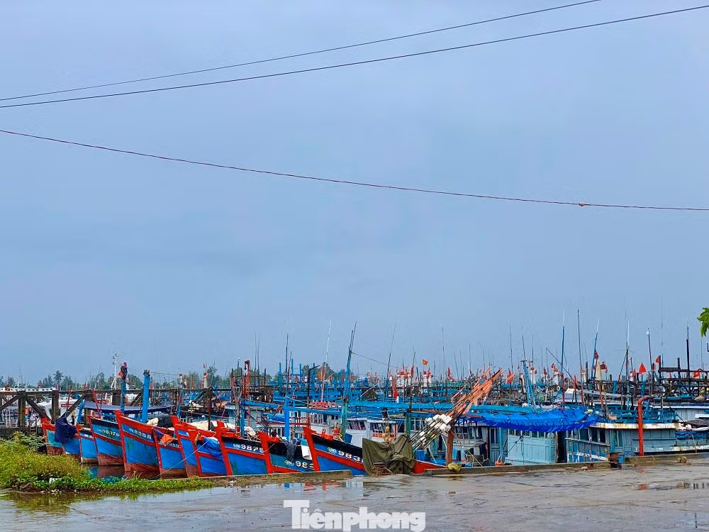 Tàu thuyền ngư dân Quảng Ngãi vào neo đậu tại cảng cá Tịnh Hòa (xã Tịnh Hòa, TP Quảng Ngãi).