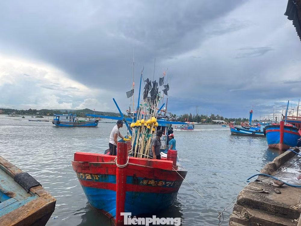 Ngư dân Quảng Ngãi hối hả đưa tàu vào bờ bán hải sản chạy bão Noru.