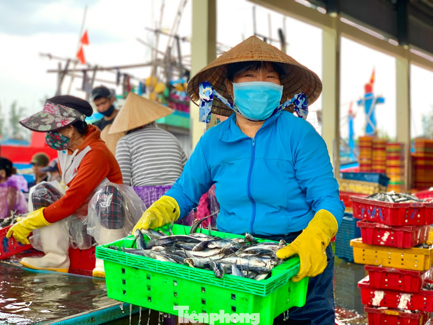 Ngư dân hối hả đưa cá từ tàu lên bờ và đưa tàu vào nơi neo đậu an toàn. Ngư dân hối hả đưa cá từ tàu lên bờ và đưa tàu vào nơi neo đậu an toàn.