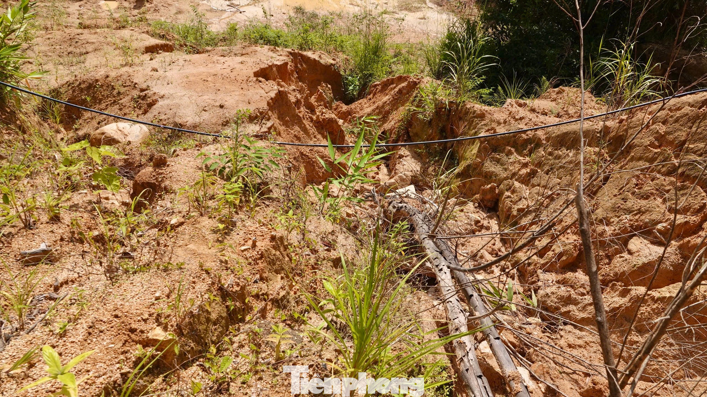 Nhiều điểm sạt lở lớn, nhỏ chi chít dọc theo sườn núi. Nhiều vị trí sạt lở lâu năm đã ổn định địa chất, cây cối mọc um tùm.