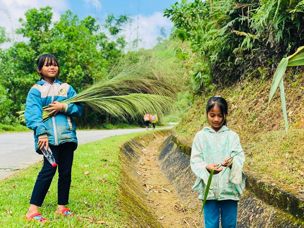 Không chỉ người lớn mà cả các em học sinh cũng tranh thủ thời gian nghỉ học lên rừng hái đót nhằm có thêm một khoản nhỏ để phụ giúp gia đình và mua sắm đồ dùng học tập.