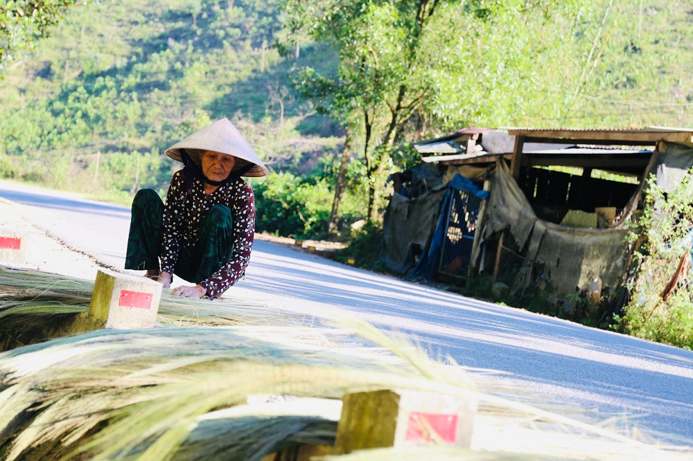 Anh Vũ Luẫn (trú xã Trà Tập, huyện Nam Trà My – người thu mua đót) cho hay, mỗi ngày anh thu mua từ 1-2 tạ đót khô, với giá 21.000 đồng/kg. Sau đó, thương lái sẽ đến điểm tập kết, thu mua chở về làm thành nhiều sản phẩm. “Người dân kiếm từ 50-60kg đót tươi/người/ngày, trời nắng đẹp thì phơi ba ngày, cứ 3kg đót tươi sẽ thành 1kg đót khô, giá 21.000 đồng/kg”, anh Luẫn nhẩm tính.