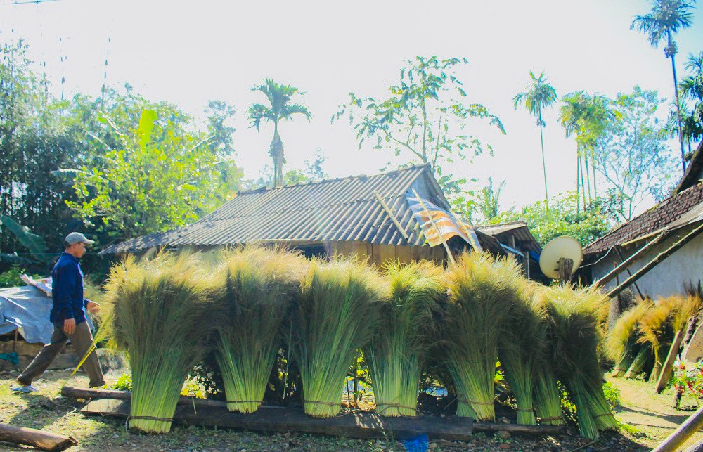 “Hai vợ chồng tôi đi hái đót từ sáng sớm cho đến chiều tối, được khoảng 80kg đót tươi, bán được 400.000 đồng. Với người dân miền núi, khoảng thu nhập này là rất cao, nên ai cũng xem đót như lộc rừng”, ông Nam thổ lộ.