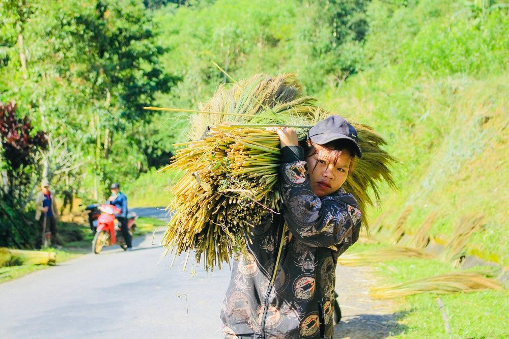 Sau Tết Nguyên đán Quý Mão 2023, đến hết tháng 2 âm lịch, người dân ở các huyện miền núi Sơn Tây, Trà Bồng, Sơn Hà (tỉnh Quảng Ngãi) và Nam Trà My, Bắc Trà My (tỉnh Quảng Nam) lại rủ nhau lên núi săn “lộc rừng”.