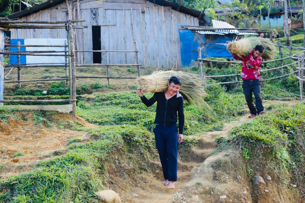 Vác bó đót từ trong rừng ra đường Trường Sơn Đông ở xã Sơn Long, huyện Sơn Tây (tỉnh Quảng Ngãi) để bán cho thương lái, ông Đinh Văn Nam (trú xã Sơn Long) cho biết: "Sau Tết Nguyên đán 2023, tôi dự định ra KKT Dung Quất để xin việc, nhưng thấy giá đót cao hơn khoảng 1.000 đồng so với năm ngoái nên tôi tranh thủ vào rừng hái đót."