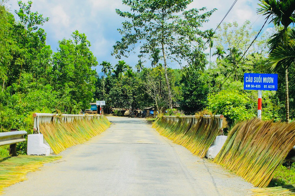 Năm nay, mùa thu hoạch đót muộn hơn những năm trước, nhưng giá được thương lái thu mua 5.000 đồng/kg đót tươi, cao hơn những năm trước nên người dân có nguồn thu nhập đáng kể trang trải những ngày sau Tết.