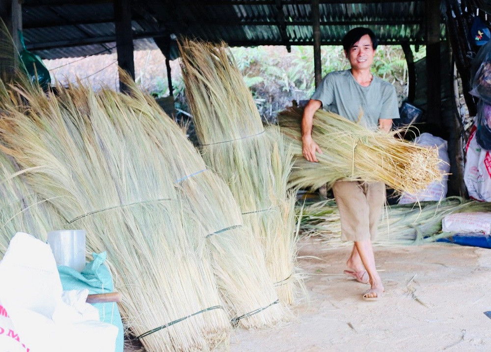 Đót được hái bao nhiêu, thương lái đến tận nhà mua bấy nhiêu. Trung bình mỗi ngày thương lái mua khoảng 1 tấn đót tươi, sau đó phơi khô và vận chuyển đến các cơ sở sản xuất để làm chổi…