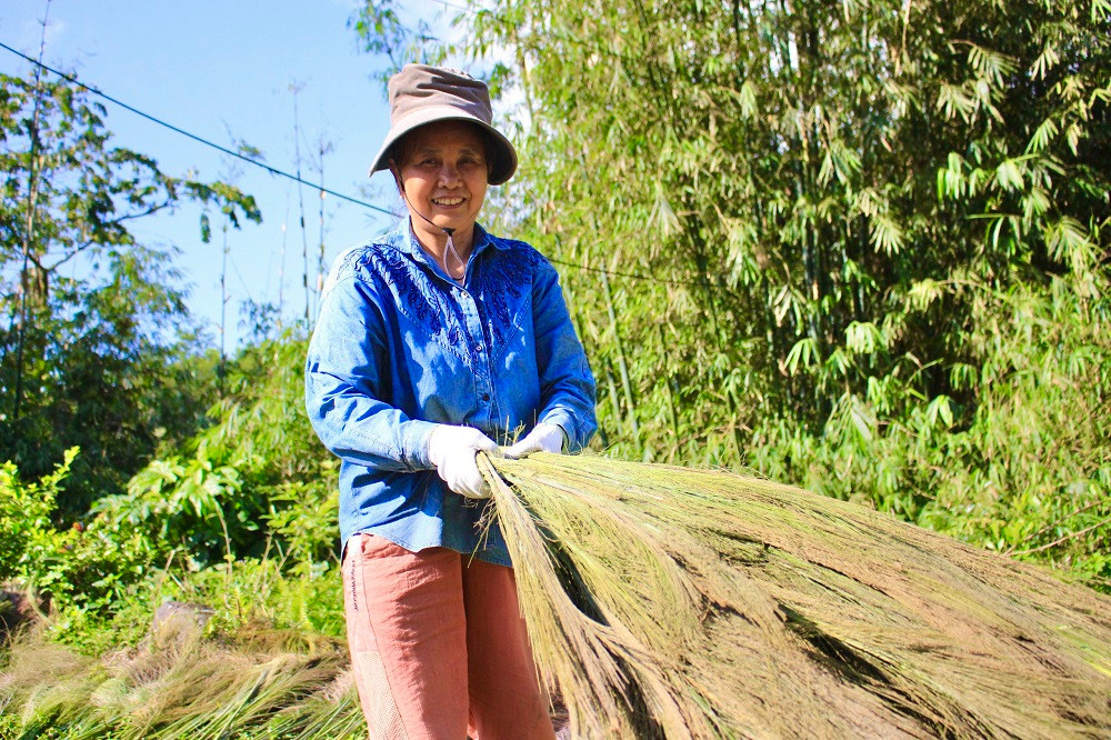 Để hái được đót đạt tiêu chuẩn, người dân đi vào các khu rừng sâu, nơi có cây đót cao, bông trổ rậm rạp. Người dân phải băng rừng từ 2-3 giờ đồng hồ mới đến nơi.