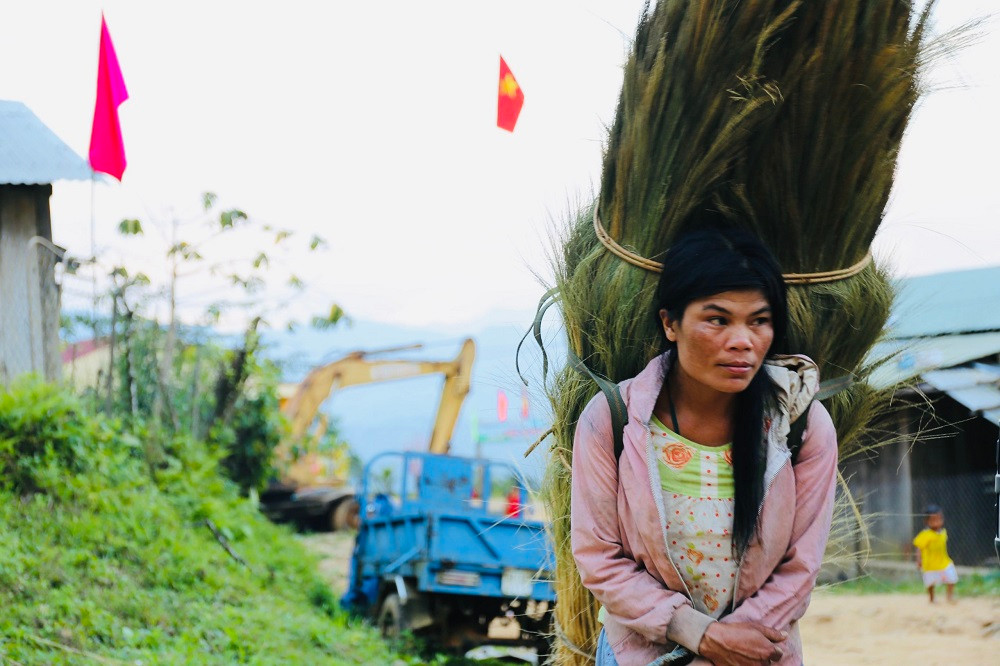 Còn tại tỉnh Quảng Nam, dọc các con đường từ miền xuôi lên các huyện miền núi Nam Trà My, Bắc Trà My…nơi đâu cũng thấy người người, nhà nhà phơi đót. Giữa màu xanh của đại ngàn, nhìn đâu cũng thấy đót trổ bông.