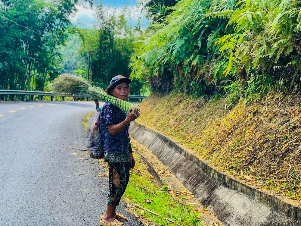 Ngay từ sáng sớm, nhiều người mang theo rựa, thực phẩm ngược rừng chặt cây đót. Một ngày làm việc thường kéo dài từ sáng sớm đến cuối giờ chiều.