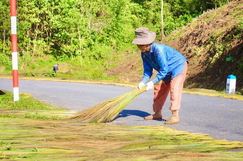 Để hái được đót đạt tiêu chuẩn, người dân đi vào các khu rừng sâu, nơi có cây đót cao, bông trổ rậm rạp. Người dân phải băng rừng từ 2-3 giờ đồng hồ mới đến nơi.