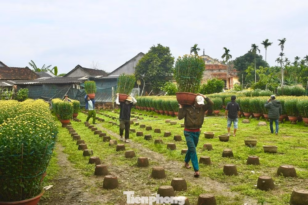 Cục sở hữu trí tuệ (Bộ Khoa học và Công nghệ) vừa cấp bằng công nhận nhãn hiệu “Hoa Nghĩa Hiệp”.