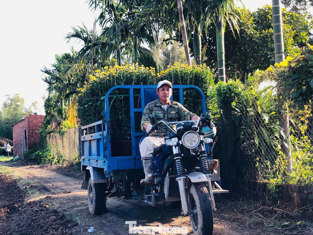 Trên các tuyến đường của xã, xe tải chở đầy hoa Tết nối đuôi nhau, đưa hoa đi tiêu thụ khắp nơi, khiến khung cảnh làng quê thêm rực rỡ sắc xuân.