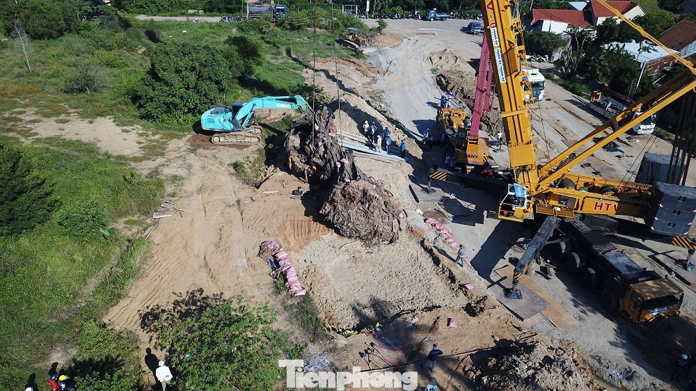 Việc đưa “cụ đa” nặng 120 tấn, dài 15 mét, chiều ngang tới 7 mét về nơi ở mới bên triền núi Thiên Bút cách khoảng 9 cây số là một cuộc di dời lịch sử với người Quảng Ngãi. Việc đưa “cụ đa” nặng 120 tấn, dài 15 mét, chiều ngang tới 7 mét về nơi ở mới bên triền núi Thiên Bút cách khoảng 9 cây số là một cuộc di dời lịch sử với người Quảng Ngãi.