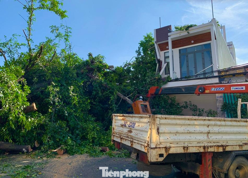 Anh Trần Văn Hiếu, phường Trương Quang Trọng cho biết, khoảng 5h55, anh nghe tiếng rắc rắc, nhìn lên thì thấy cây cổ thụ nghiêng dần xuống đường. Hoảng quá, anh bỏ xe máy chạy ra xa cách đó 50 mét để tránh.Cây đa ngã đè trúng 10 nhà dân xung quanh gây hư hại và khiến nhiều dây điện bị đứt. Ảnh: Nguyễn Ngọc Anh Trần Văn Hiếu, phường Trương Quang Trọng cho biết, khoảng 5h55, anh nghe tiếng rắc rắc, nhìn lên thì thấy cây cổ thụ nghiêng dần xuống đường. Hoảng quá, anh bỏ xe máy chạy ra xa cách đó 50 mét để tránh.Cây đa ngã đè trúng 10 nhà dân xung quanh gây hư hại và khiến nhiều dây điện bị đứt. Ảnh: Nguyễn Ngọc