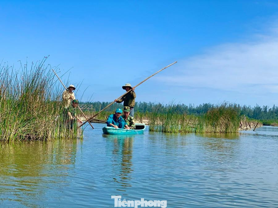 Lực lượng chức năng đi tuần tra ở khu vực Bàu Cá Cái, ở xã Bình Thuận, huyện Bình Sơn, tỉnh Quảng Ngãi. Ảnh: Nguyễn Ngọc