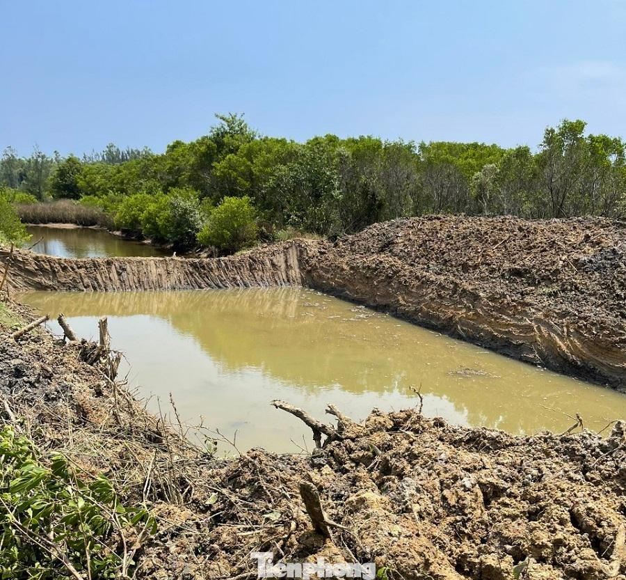 Người dân tự ý đào vét, lấn chiếm rừng phòng hộ Bàu Cá Cái để nuôi truồng thủy sản. Ảnh: Nguyễn Ngọc