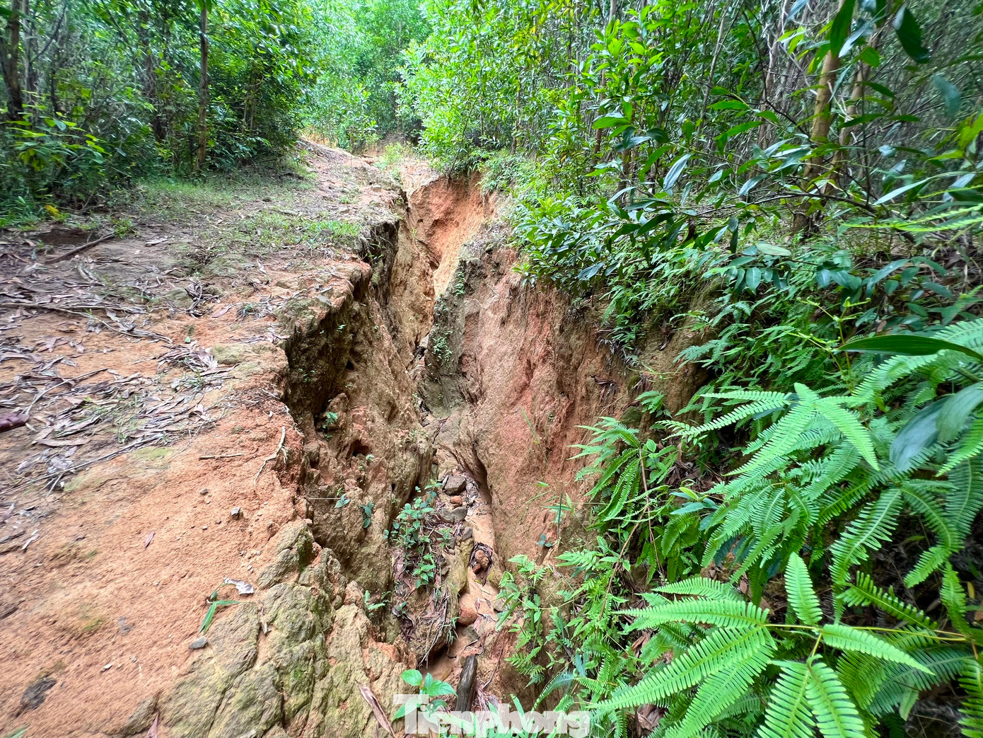 Những vết nứt có chỗ sâu từ 5-7 mét.