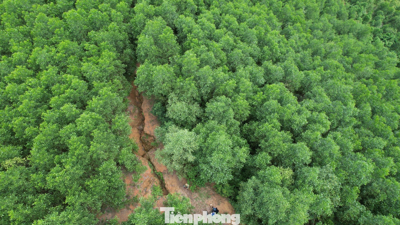 Nhiều nhà dân sống cách chân núi chỉ khoảng 100m.