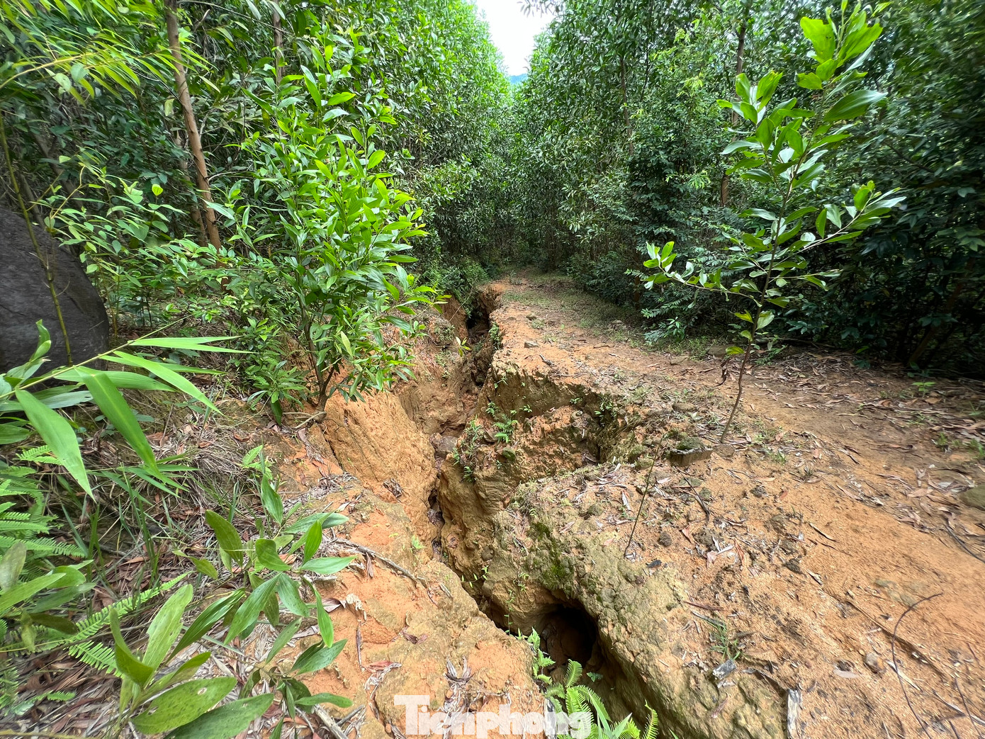 Hiện các vết nứt ngày càng dài và rộng thêm. Ảnh: Nguyễn Ngọc