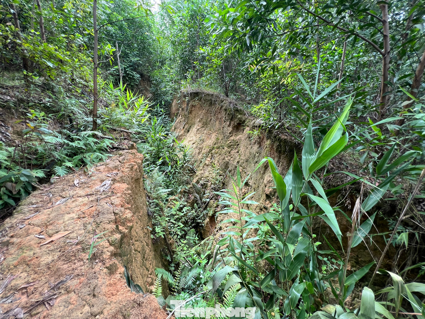 Nguy cơ sạt lở núi rất cao.