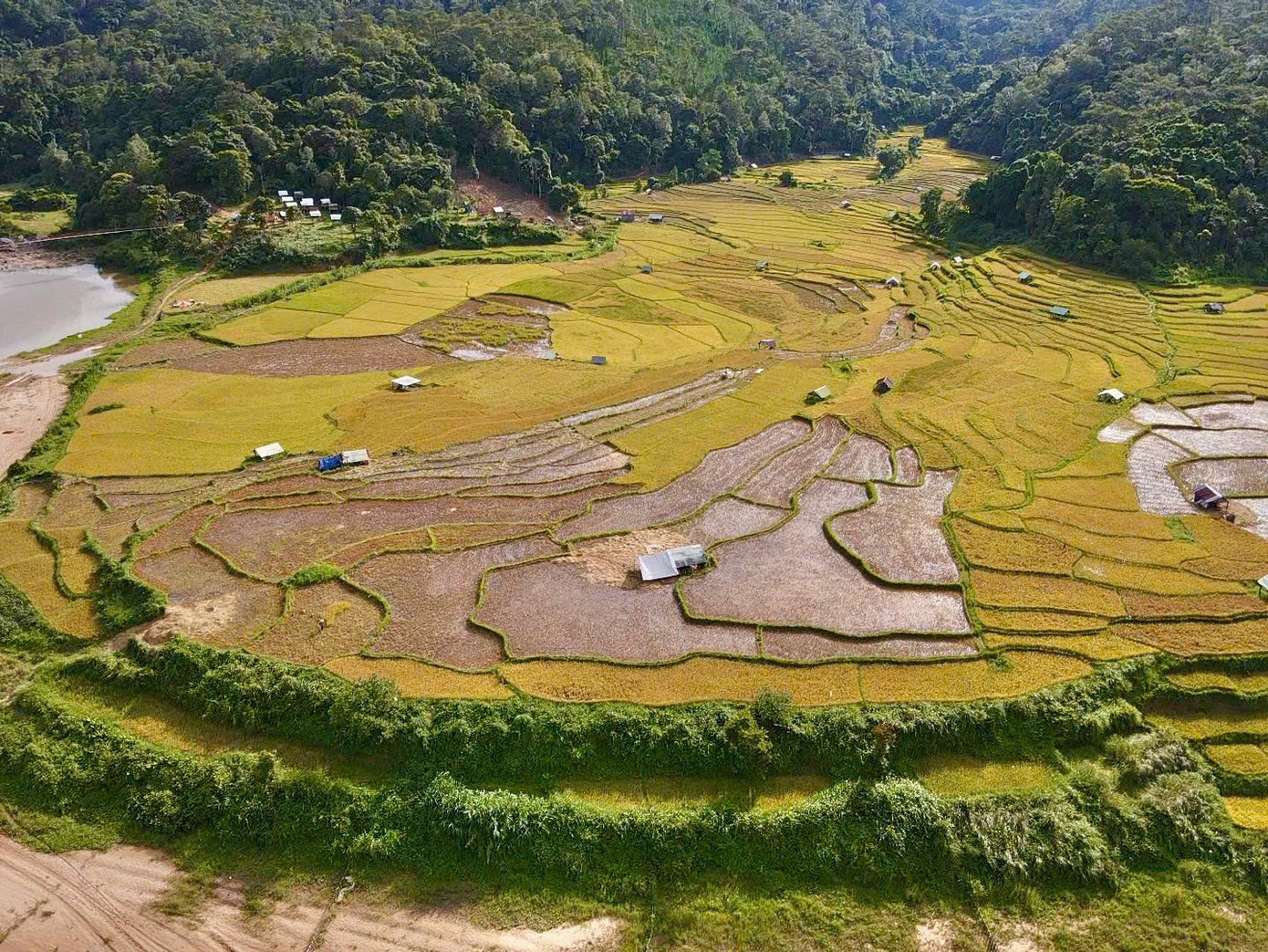 Ruộng bậc thang ở Kon Tu Rằng (xã Măng Cành, huyện Kon Plông, tỉnh Kon Tum) không rộng mênh mông như Mù Cang Chải (Yên Bái), cũng không kỳ vĩ như Hoàng Su Phì (Hà Giang), nhưng lại mang một vẻ đẹp riêng biệt, dịu dàng và hoang sơ.