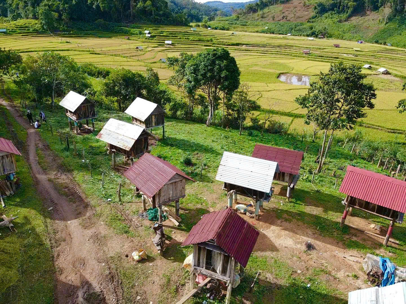 Những "kho" chứa lúa của người dân sau khi thu hoạch.