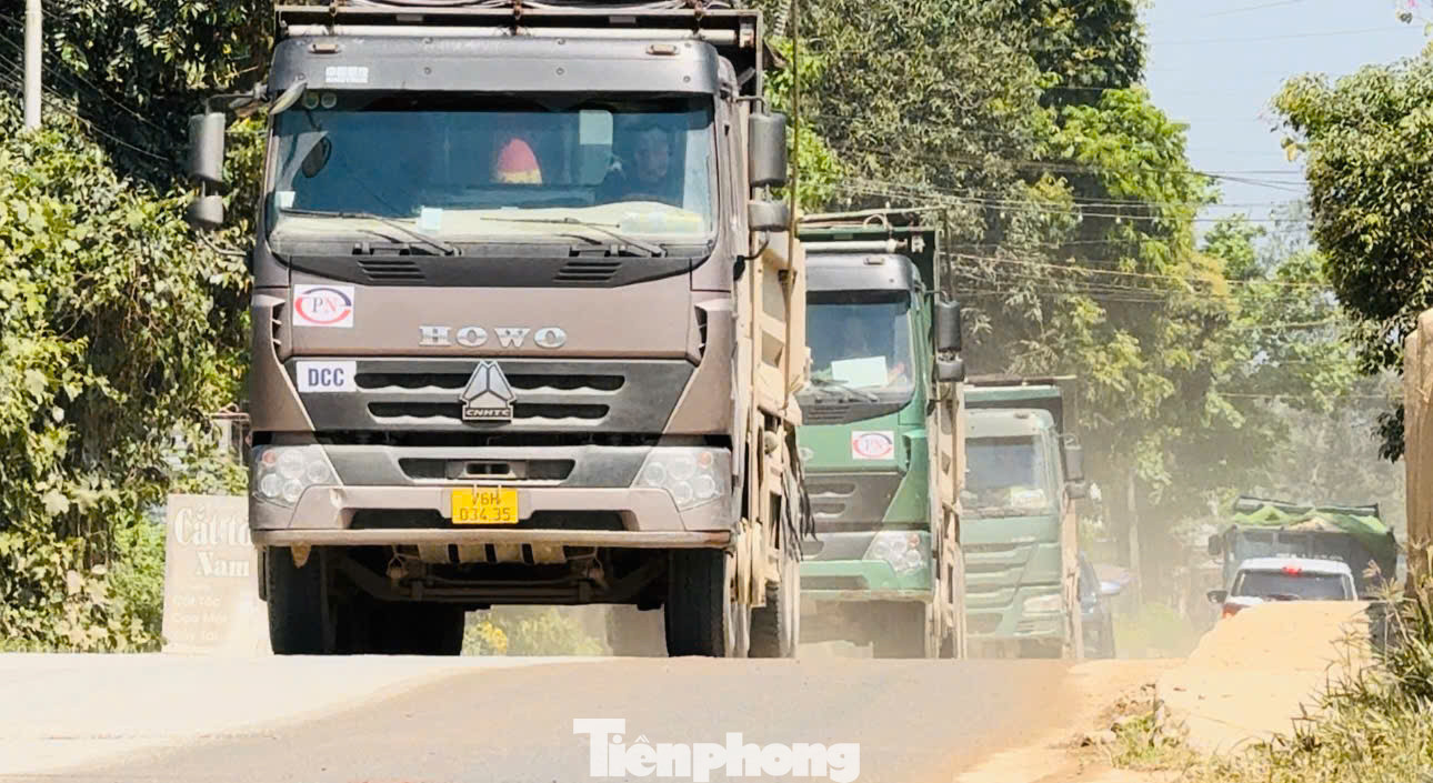 Các xe trọng tải lớn phục vụ dự án cao tốc Quảng Ngãi - Hoài Nhơn chạy với tần suất dày đặc khiến bụi bay mù mịt.