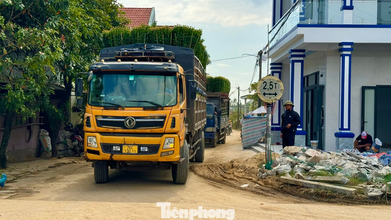Dọc các tuyến đường tấp nập kẻ mua, người bán. Hoa được vận chuyển đi khắp nơi. Ảnh: Nguyễn Ngọc