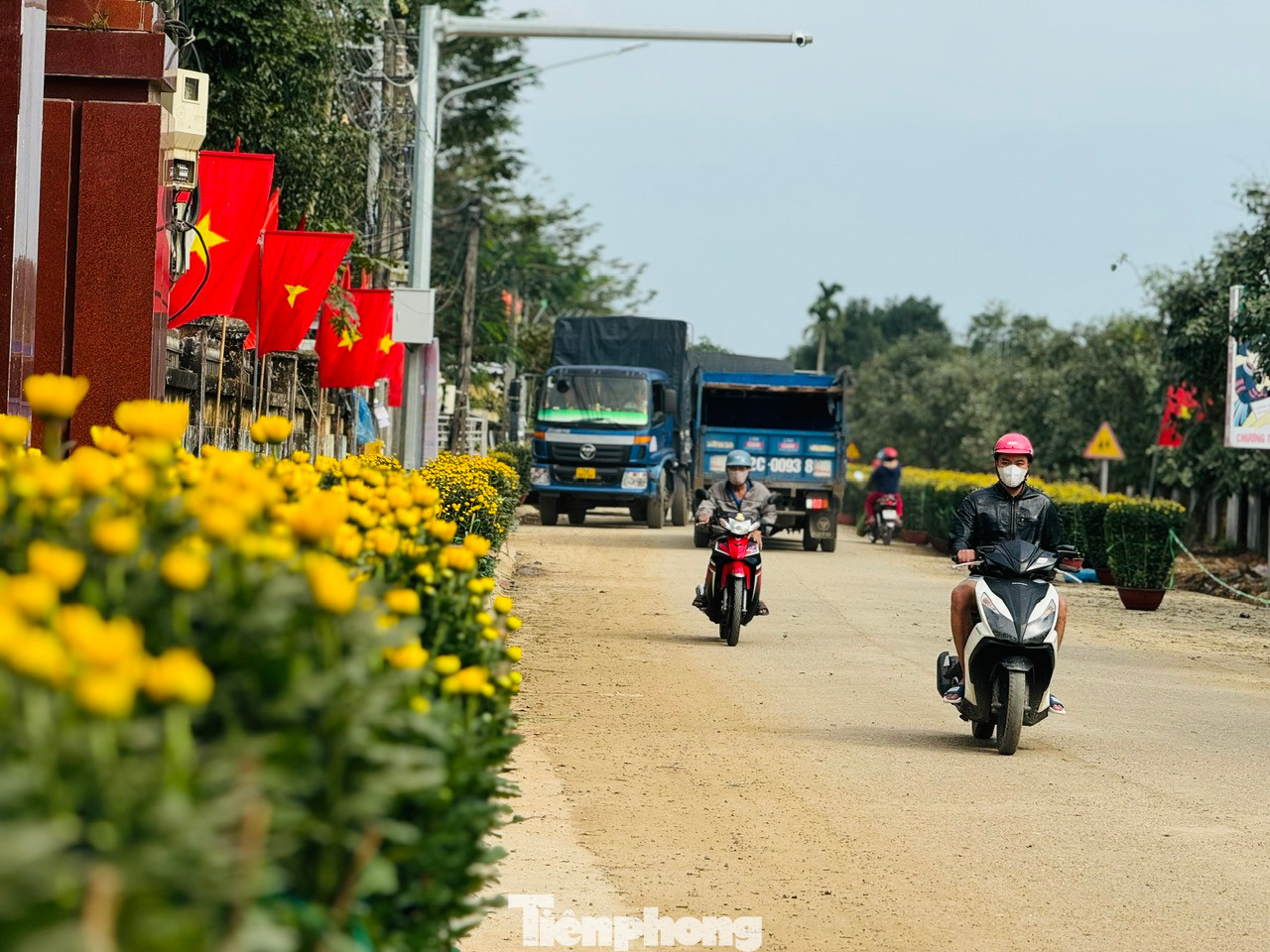 Những ngày giáp Tết, làng hoa Nghĩa Hiệp (xã Nghĩa Hiệp, huyện Tư Nghĩa) được hoa cúc “nhuộm vàng”. Ảnh: Nguyễn Ngọc