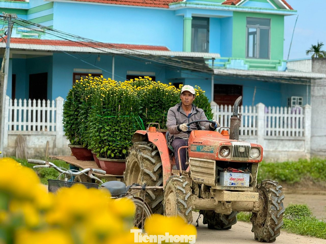 “Làng hoa Nghĩa Hiệp có tuổi đời hơn 50 năm, chừng ấy thời gian người dân ở đây đón xuân sớm hơn các nơi. Đến khi hoa rời xóm làng, đến tay người dân khắp cả nước đón Tết thì làng lại trở lại bình thường…”, ông Nông nói. Ảnh: Nguyễn Ngọc