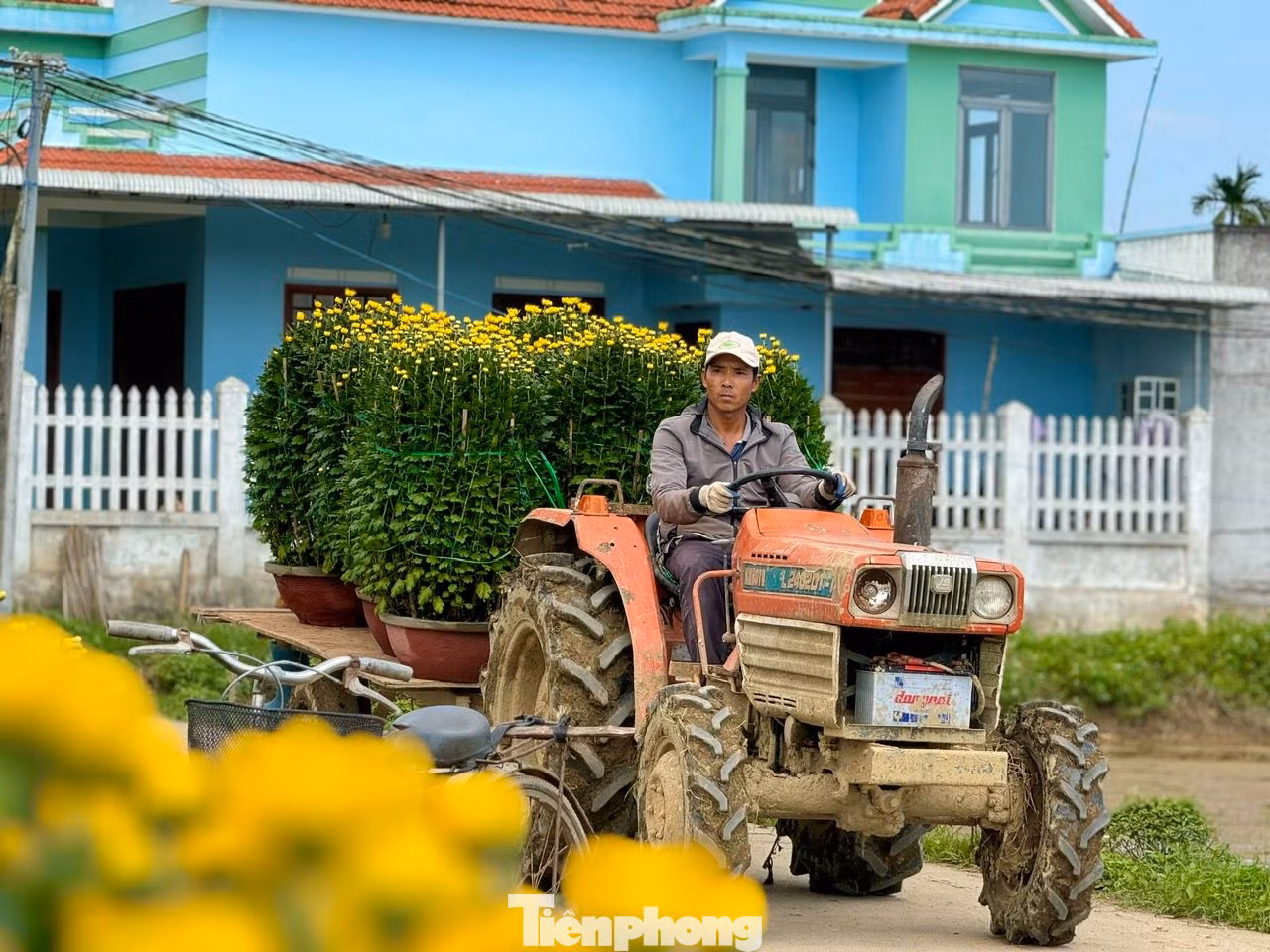 “Làng hoa Nghĩa Hiệp có tuổi đời hơn 50 năm, chừng ấy thời gian người dân ở đây đón xuân sớm hơn các nơi. Đến khi hoa rời xóm làng, đến tay người dân khắp cả nước đón Tết thì làng lại trở lại bình thường…”, ông Nông nói. Ảnh: Nguyễn Ngọc