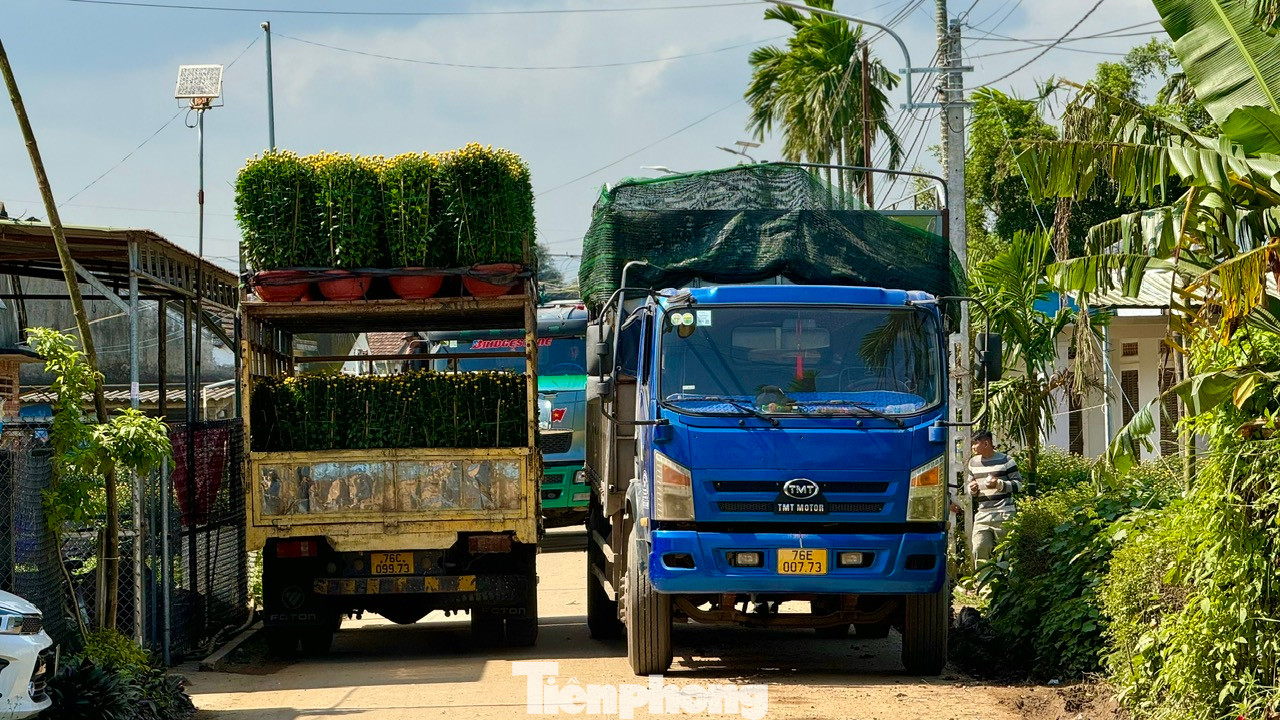 Dọc các tuyến đường tấp nập kẻ mua, người bán. Hoa được vận chuyển đi khắp nơi. Ảnh: Nguyễn Ngọc