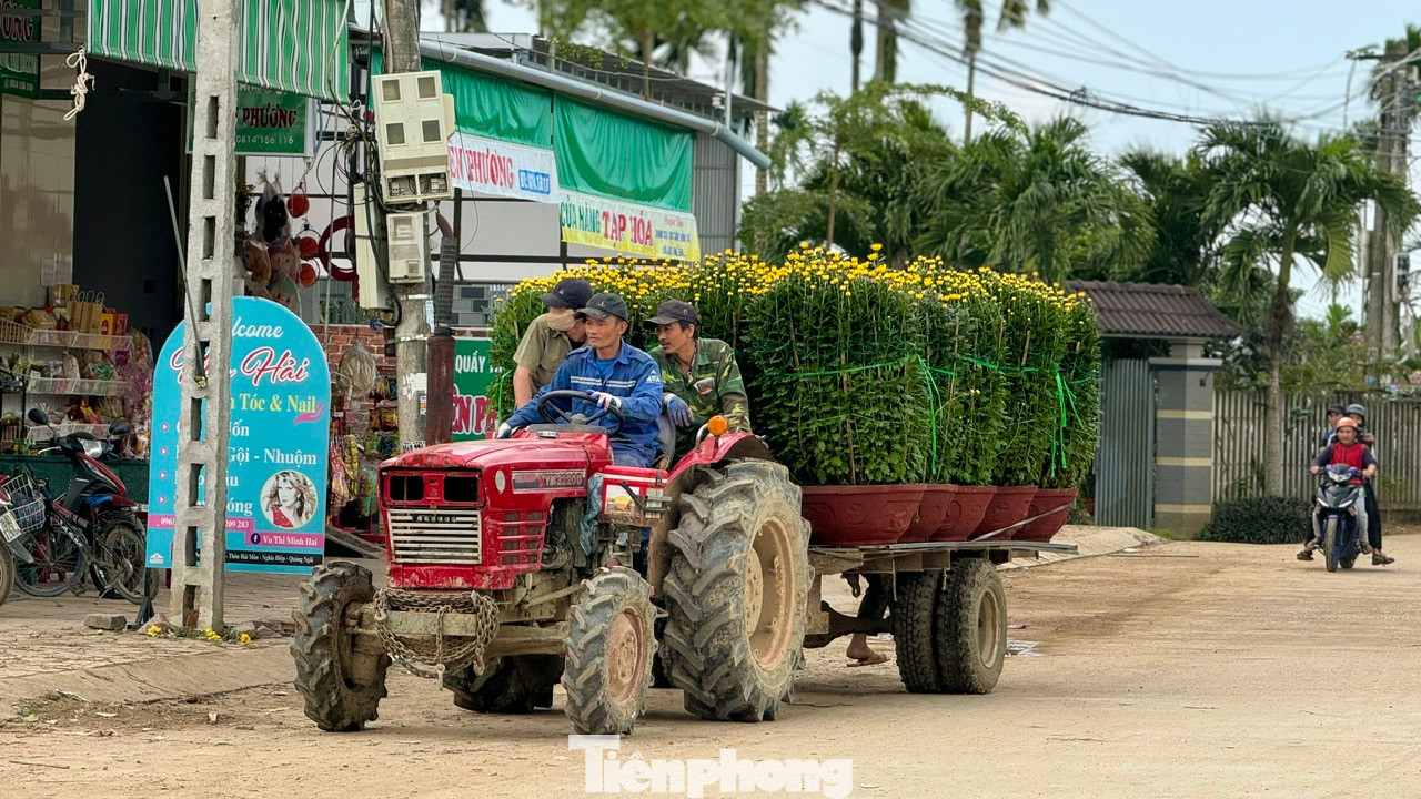 “Làng hoa Nghĩa Hiệp có tuổi đời hơn 50 năm, chừng ấy thời gian người dân ở đây đón xuân sớm hơn các nơi. Đến khi hoa rời xóm làng, đến tay người dân khắp cả nước đón Tết thì làng lại trở lại bình thường…”, ông Nông nói. Ảnh: Nguyễn Ngọc