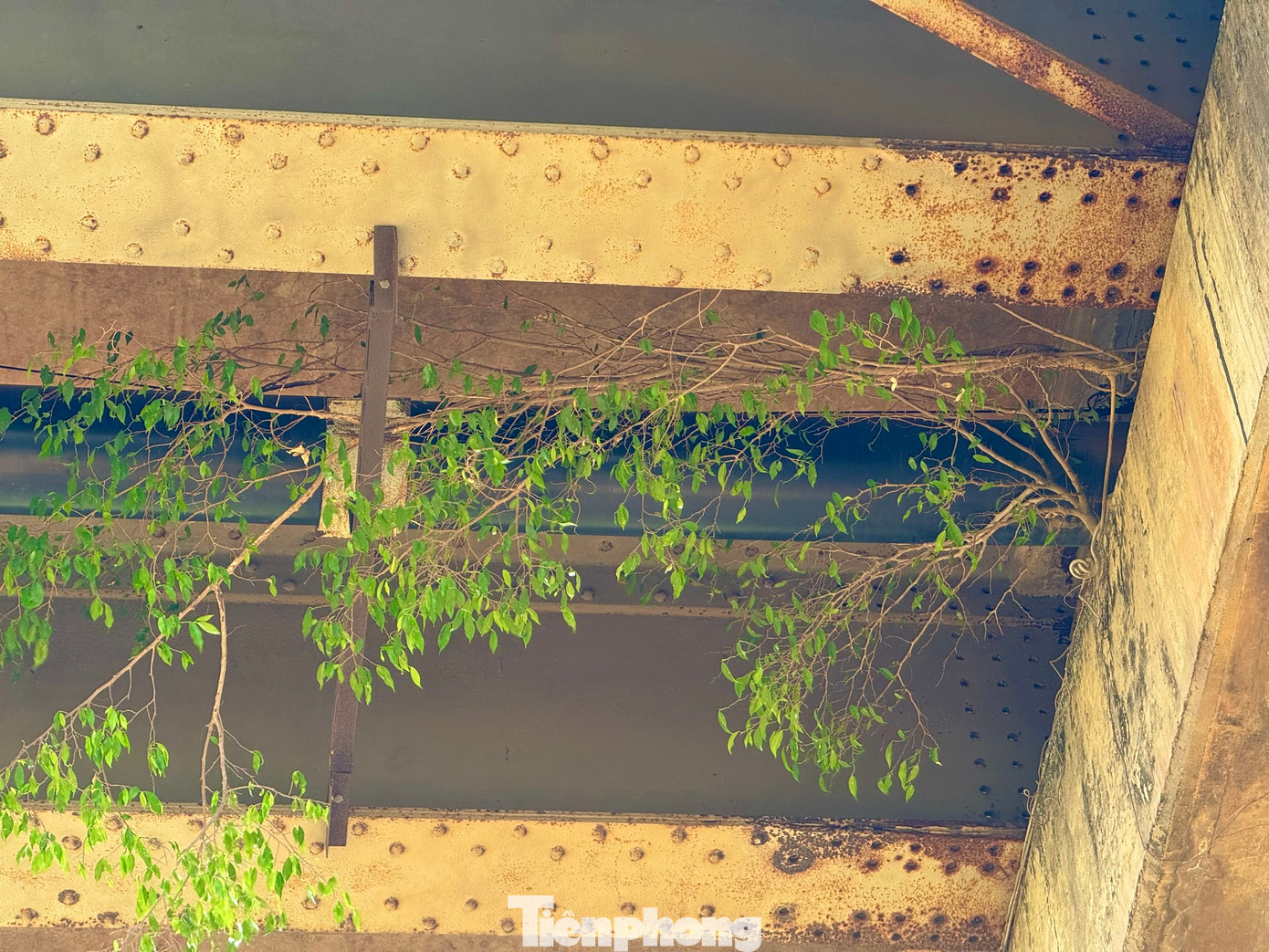 “Người dân mong muốn quan chức năng cần đánh giá lại mức độ an toàn của cầu, nhất là mùa mưa lũ đang đến gần, bởi nếu không kiểm tra, tính toán và chủ động ứng phó, chẳng may xảy ra sự cố thì cực kỳ nguy hiểm”, anh Nam kiến nghị.