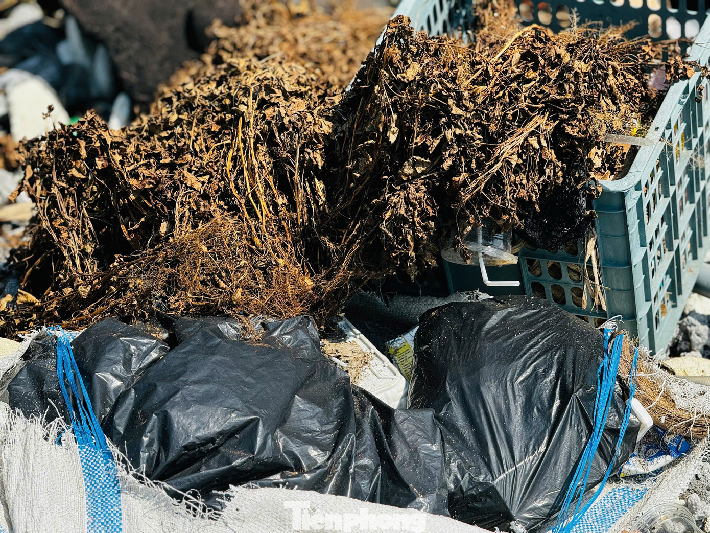 Đẩy các loại rác thải nằm ngổn ngang... Ảnh: Nguyễn Ngọc.