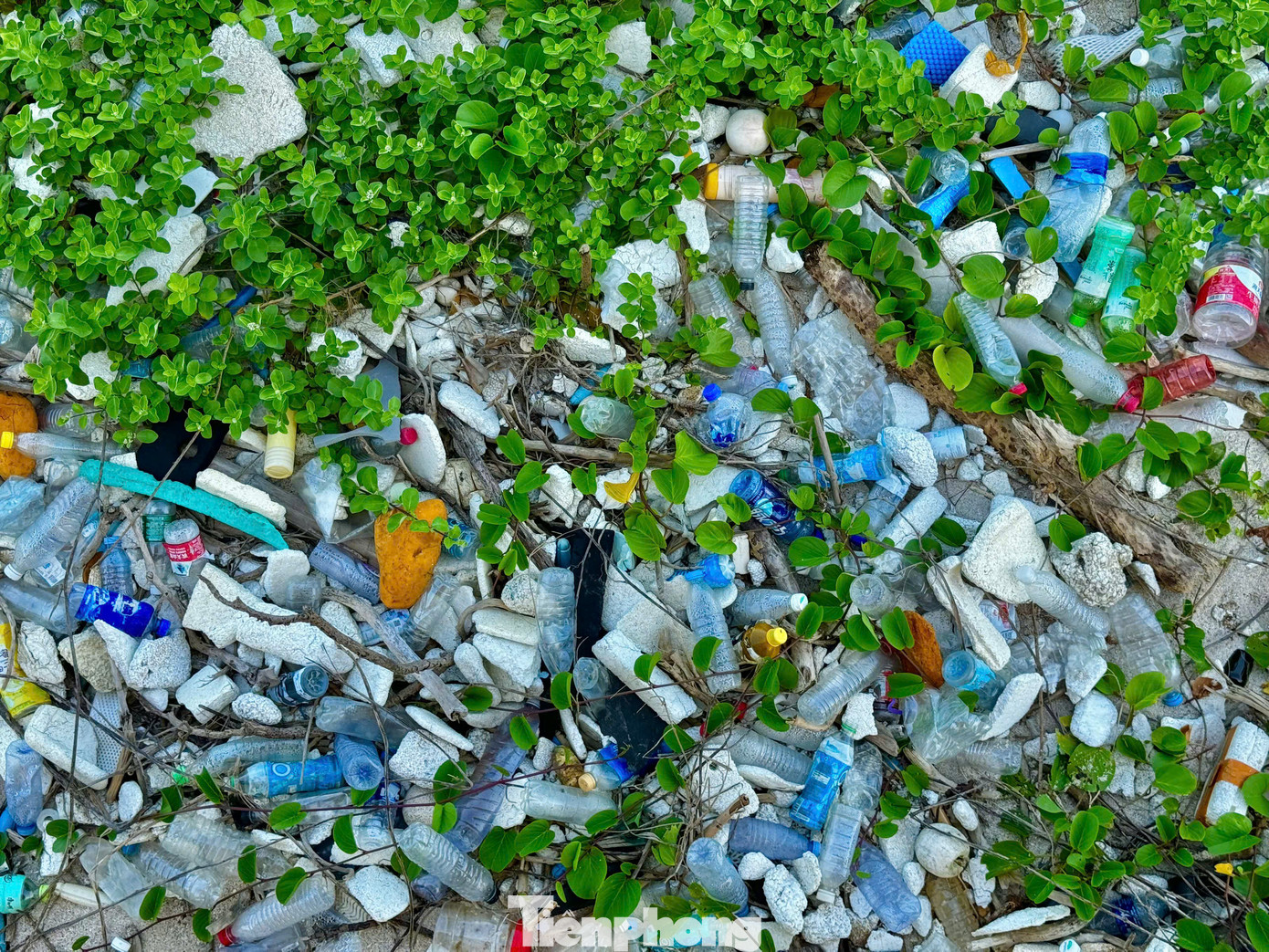 Theo ghi nhận của PV, dọc theo bờ biển, đằng sau các bãi đá nham thạch núi lửa triệu năm từ túi nilon, chai nhựa, thùng xốp bị sóng đánh dạt lên bờ nằm vương vãi khắp nơi, làm mất đi vẻ đẹp tự nhiên hoang sơ, mộc mạc và yên bình vốn có. Ảnh: Nguyễn Ngọc.