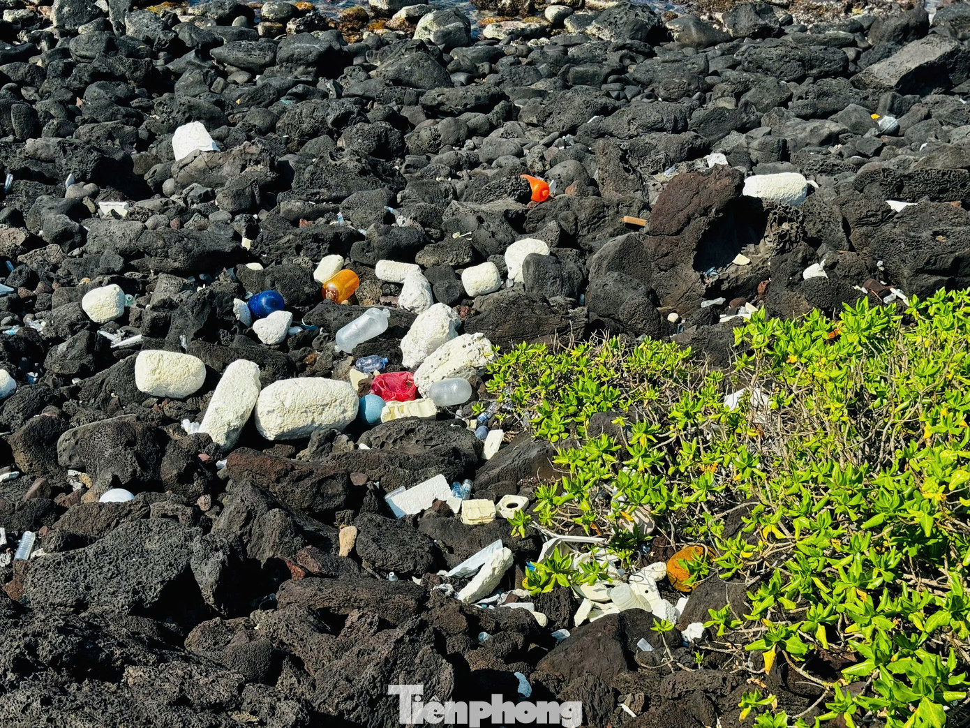 Lẩn khuất trong những vách đá nham thạch, lùm cây là những hàng trăm chai nhựa, thùng xốp, túi nilon, giày dép… đang ngày ngày bủa vây lấy đảo. Ảnh: Nguyễn Ngọc.
