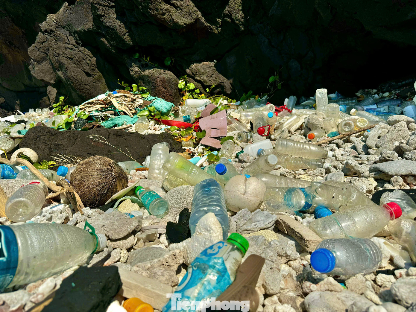 “Cứ sau mỗi đợt gió chướng, lượng rác đại dương tấp vào bờ không chỉ ở đảo Bé mà ngay cả ở đảo Lớn cũng rất nhiều. Chính quyền địa phương đã chỉ đạo các lực lượng tổ chức thu gom. Riêng ở đảo Bé không có nhà máy xử lý rác thải nên lượng rác thải sinh hoạt và rác sau khi thu gom sẽ được tập kết và vận chuyển bằng tàu về đảo Lớn để xử lý”, bà Hương nói.