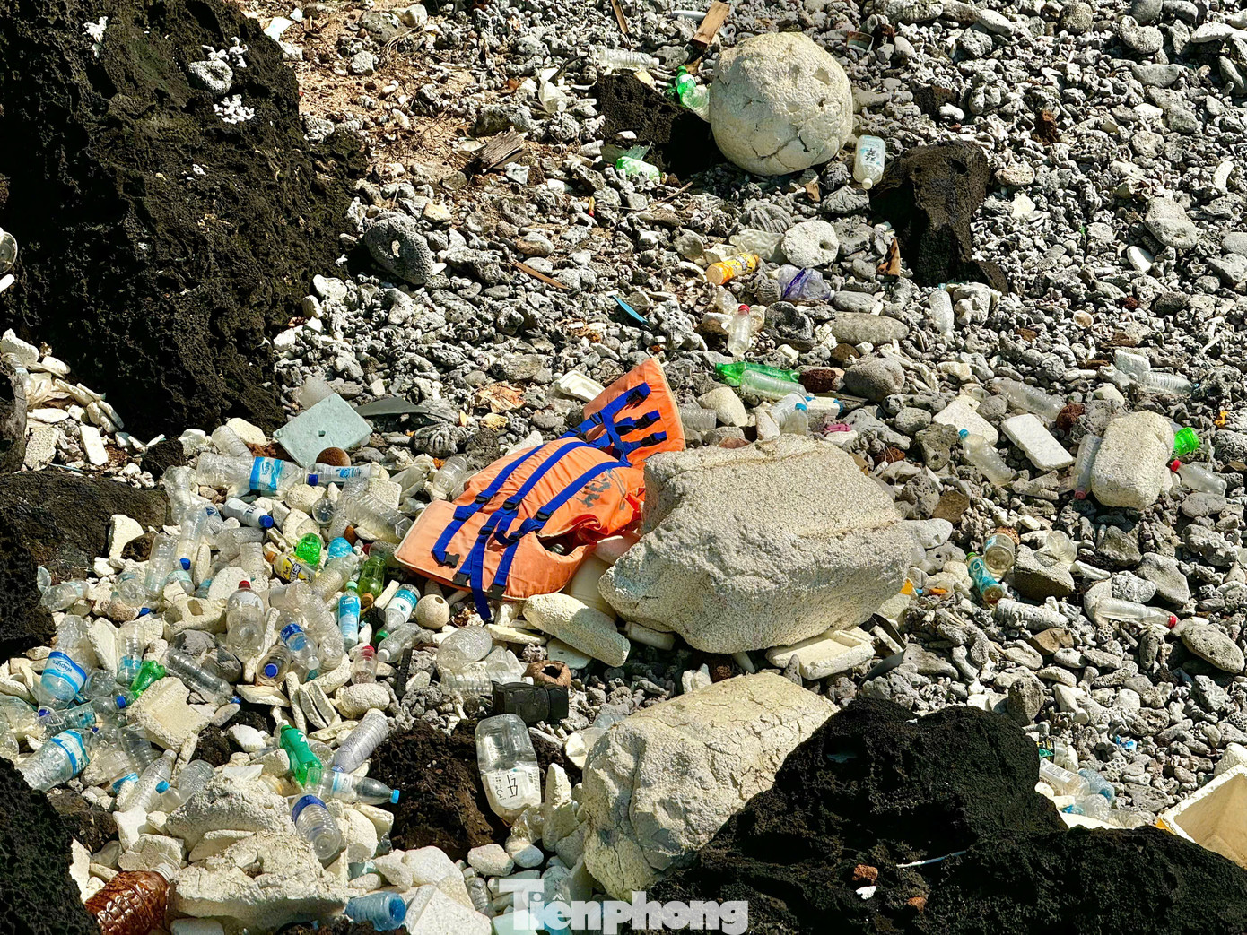 Từ chai nhựa, thùng xốp, áo phao. Ảnh: Nguyễn Ngọc.