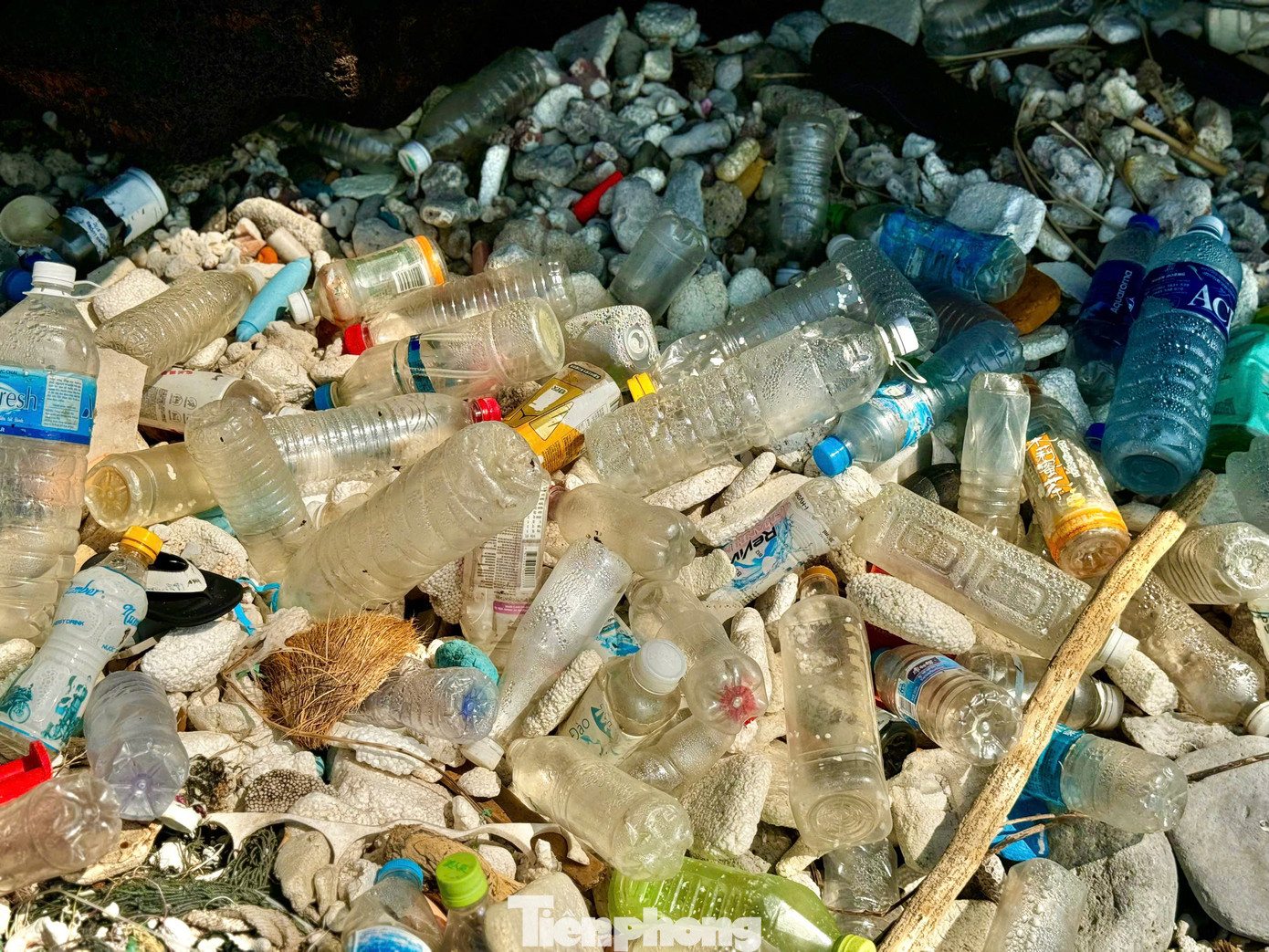 Bà Phạm Thị Hương - Chủ tịch UBND huyện Lý Sơn, tỉnh Quảng Ngãi - thừa nhận thực trạng rác thải dồn, tấp vào đảo Bé mỗi khi mùa gió chướng đến. Nhưng ban ngành chức năng của huyện không thể xử lý kịp vì lượng rác quá nhiều.